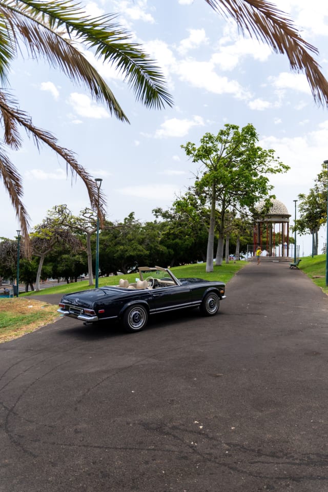 MERCEDES BENZ 280 Sl Pagode 1969 usado