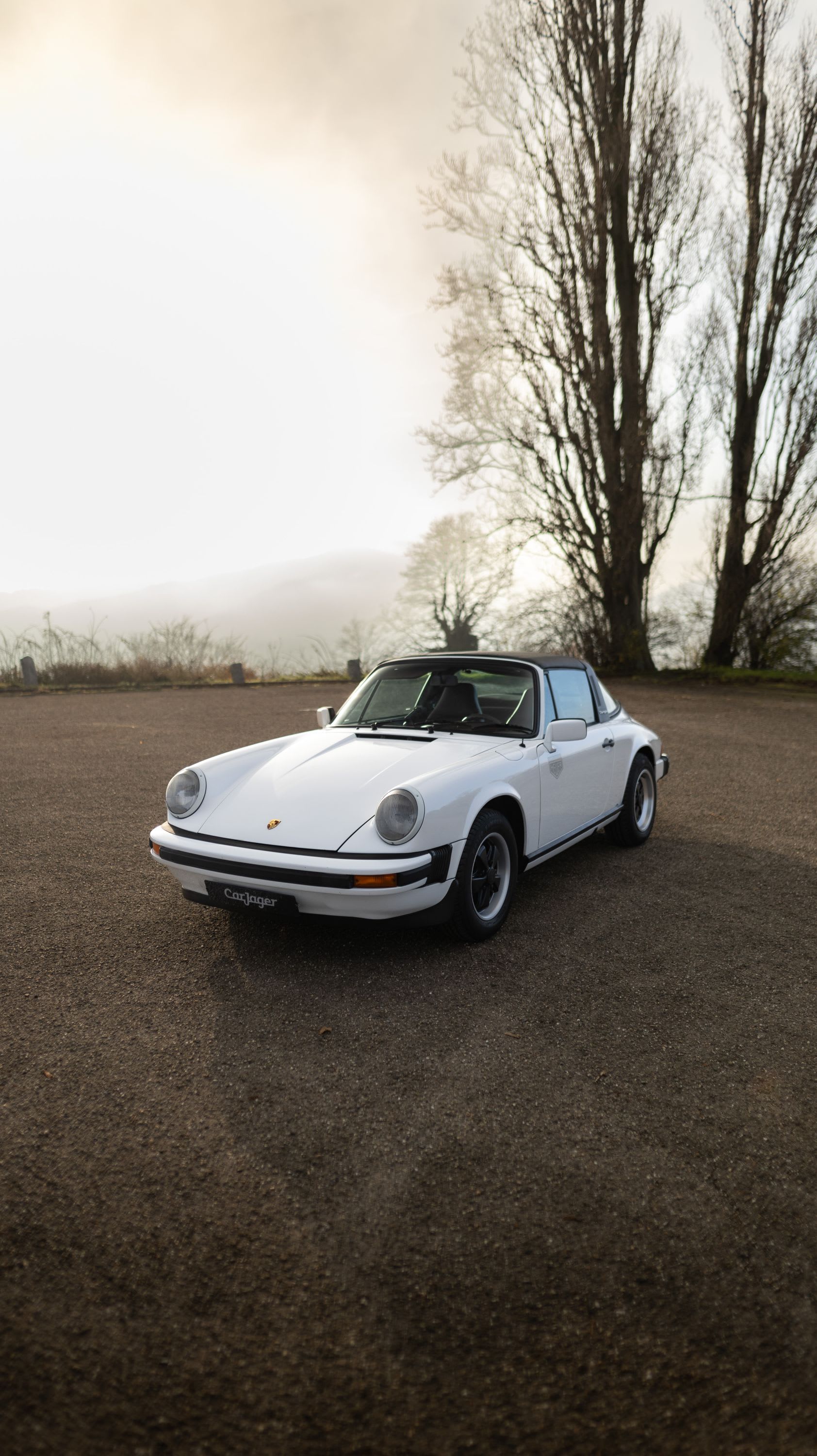 PORSCHE 911 Classic 1964-1989 1977 used details (1)