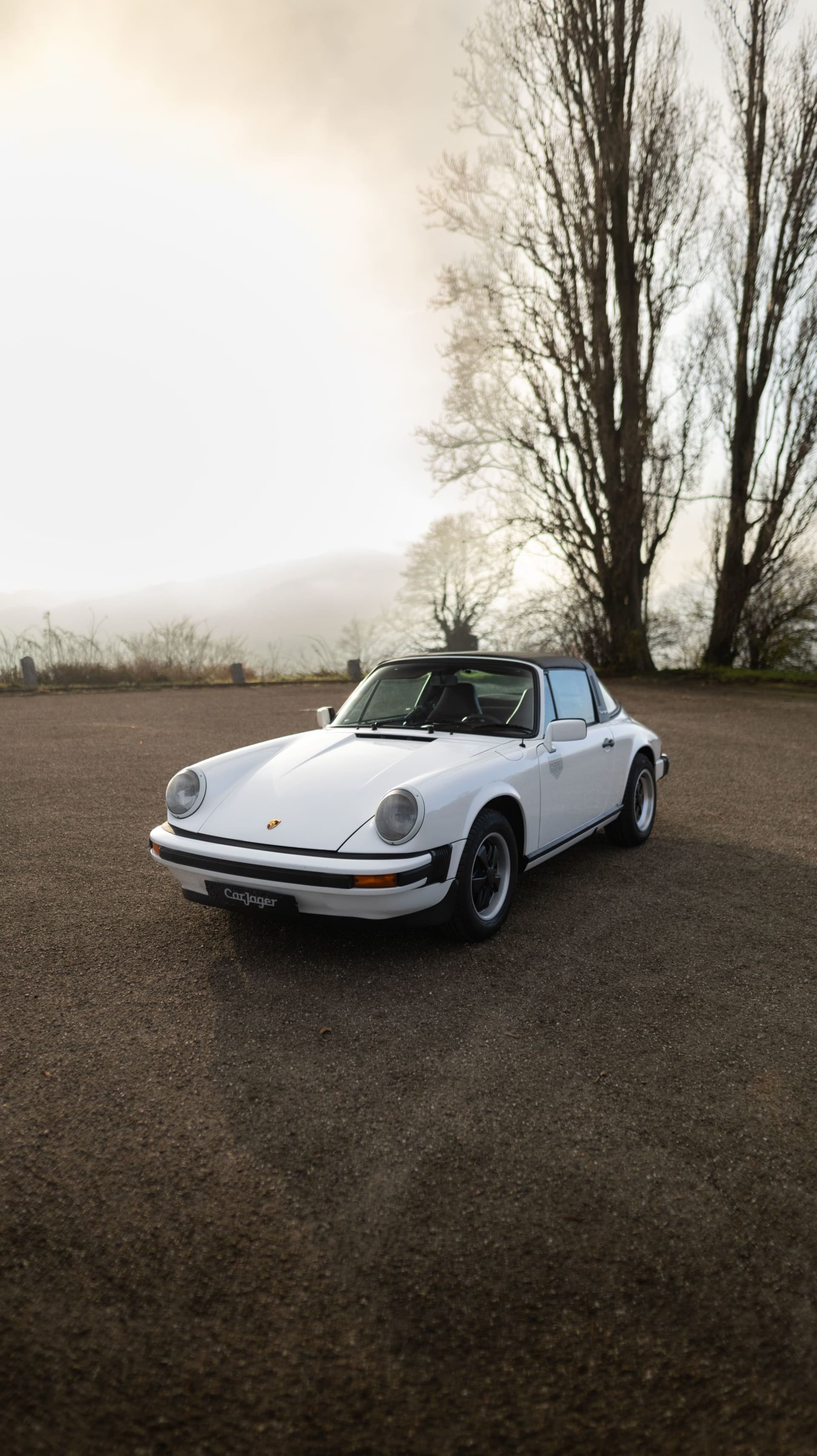 PORSCHE 911 2.7 Targa 1977 occasion détails (1)