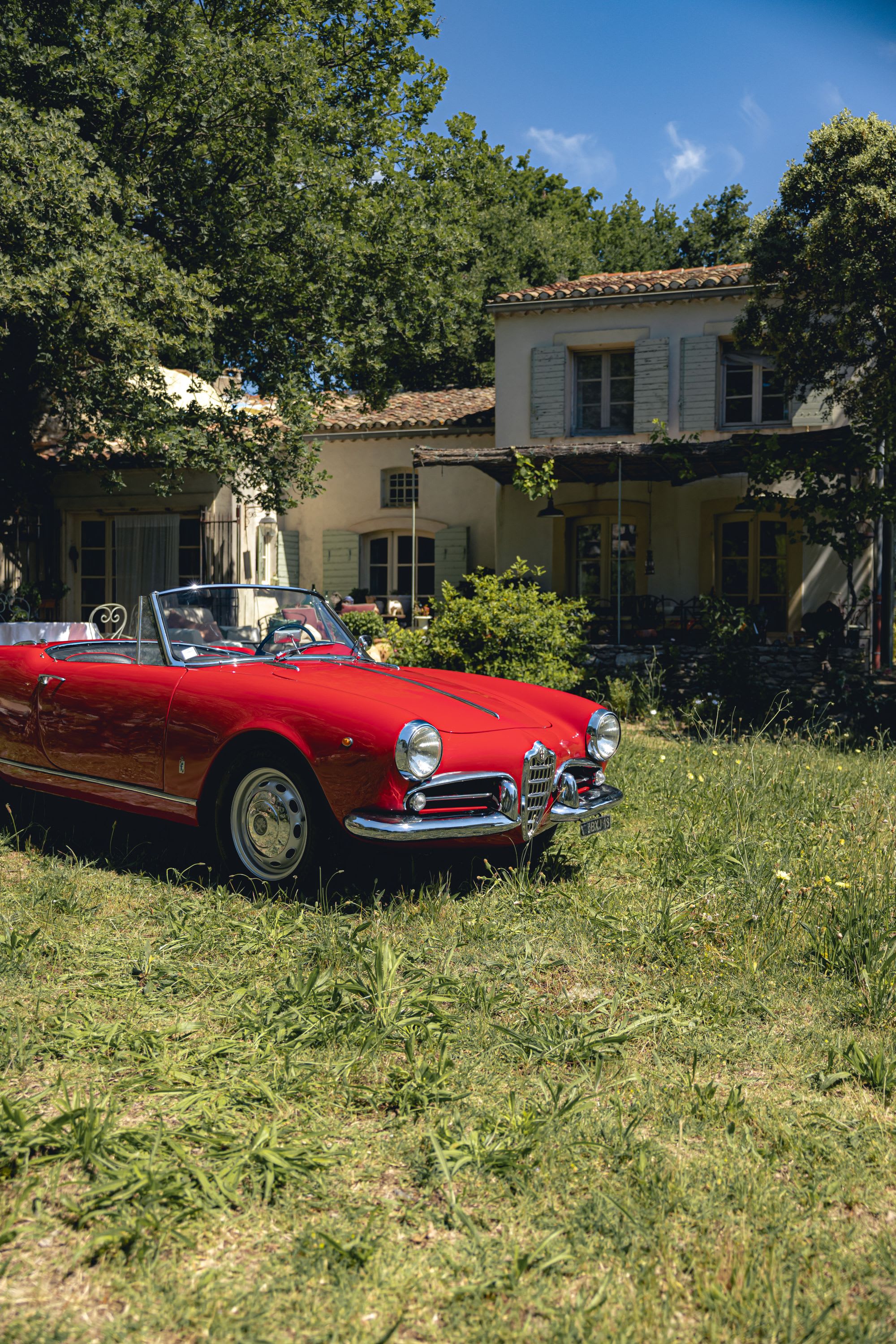 ALFA ROMEO Giulietta Spider 750 D 1959 occasion détails (1)