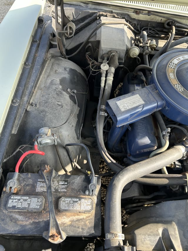 MERCURY Cougar 1st Generation 1969 occasion