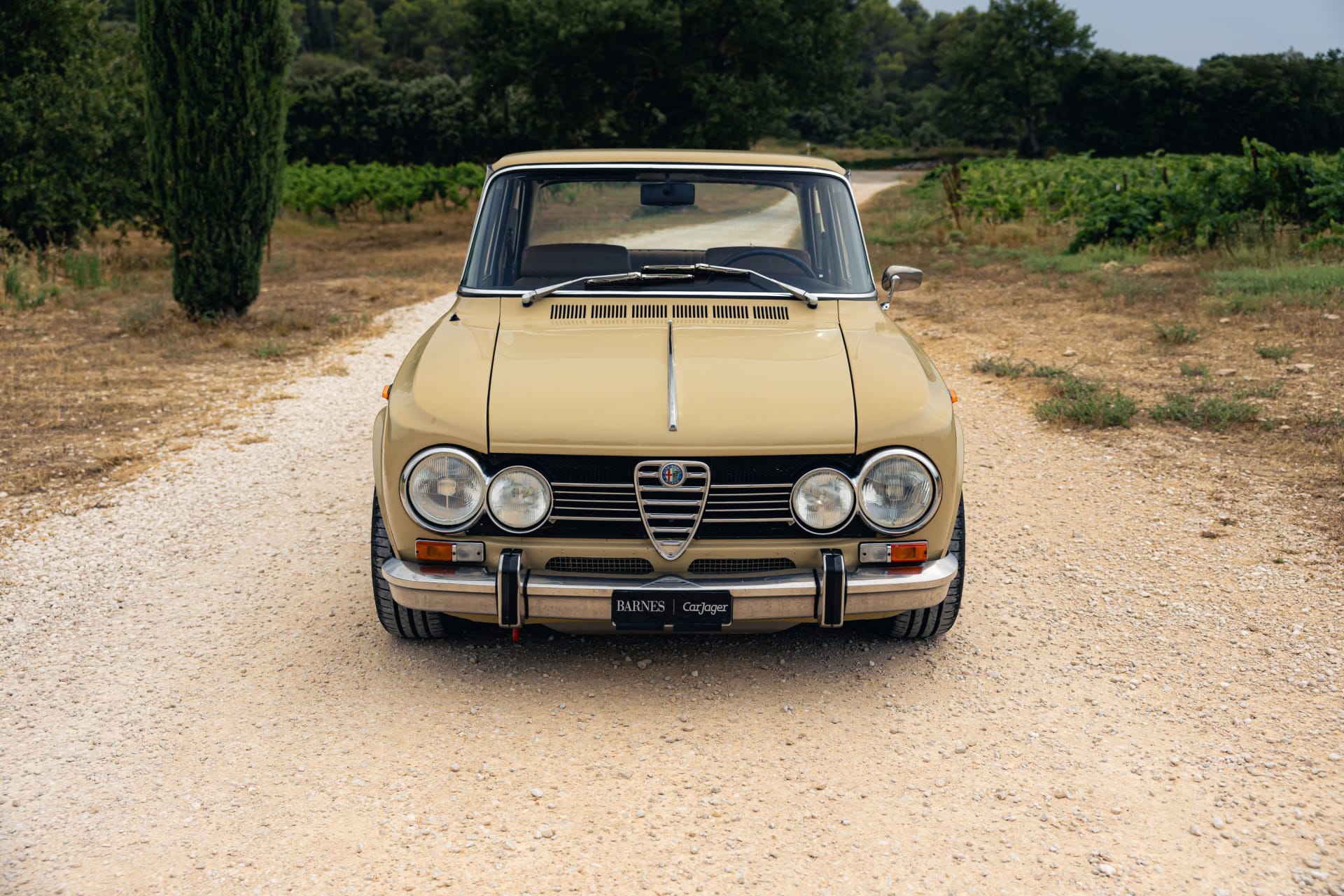 Alfa Romeo Giulia  Super 1971