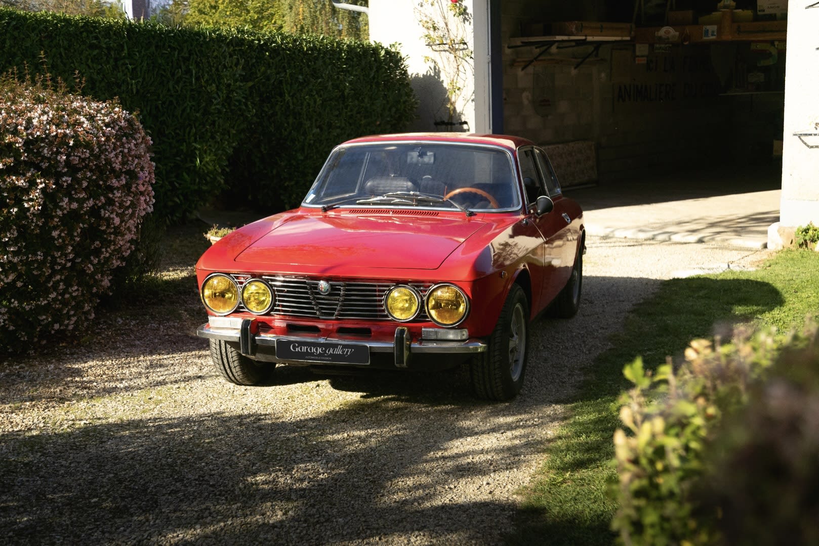 Alfa Romeo 2000 Tipo 105 Gtv