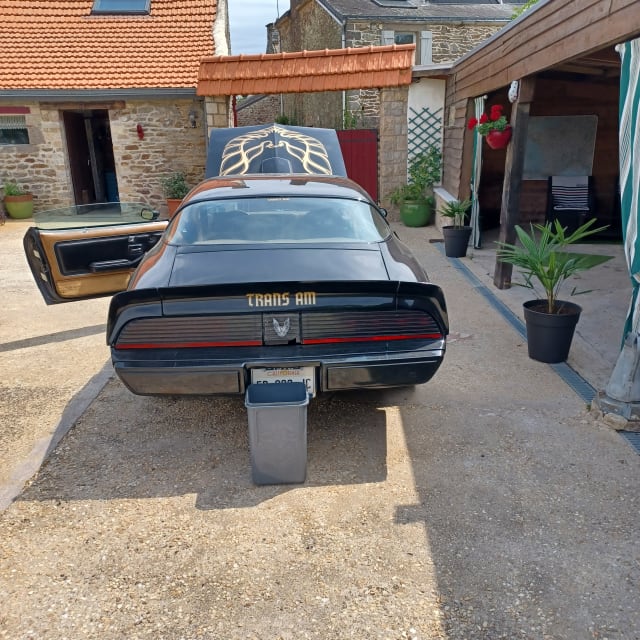 PONTIAC Firebird 1st Generation 1979 occasion