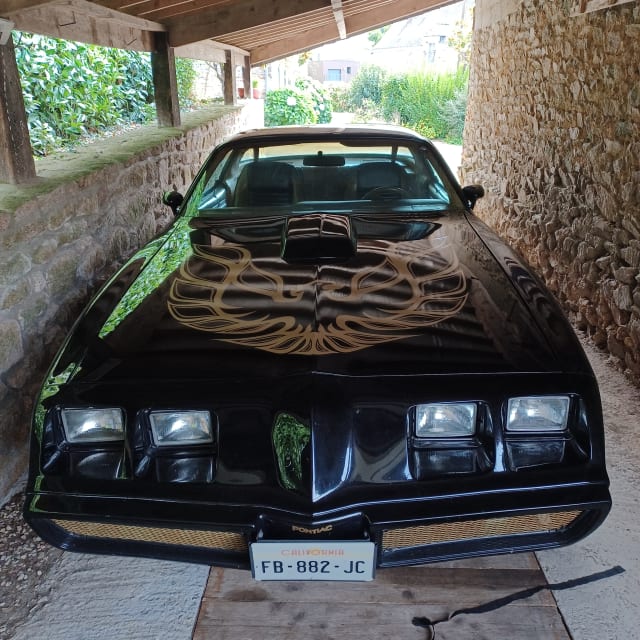 PONTIAC Firebird   1979 occasion