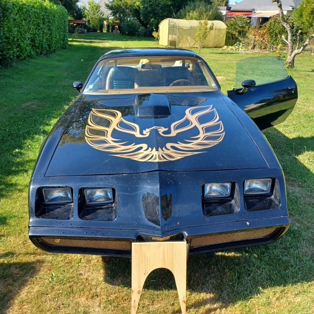 PONTIAC Firebird 1st Generation 1979 occasion