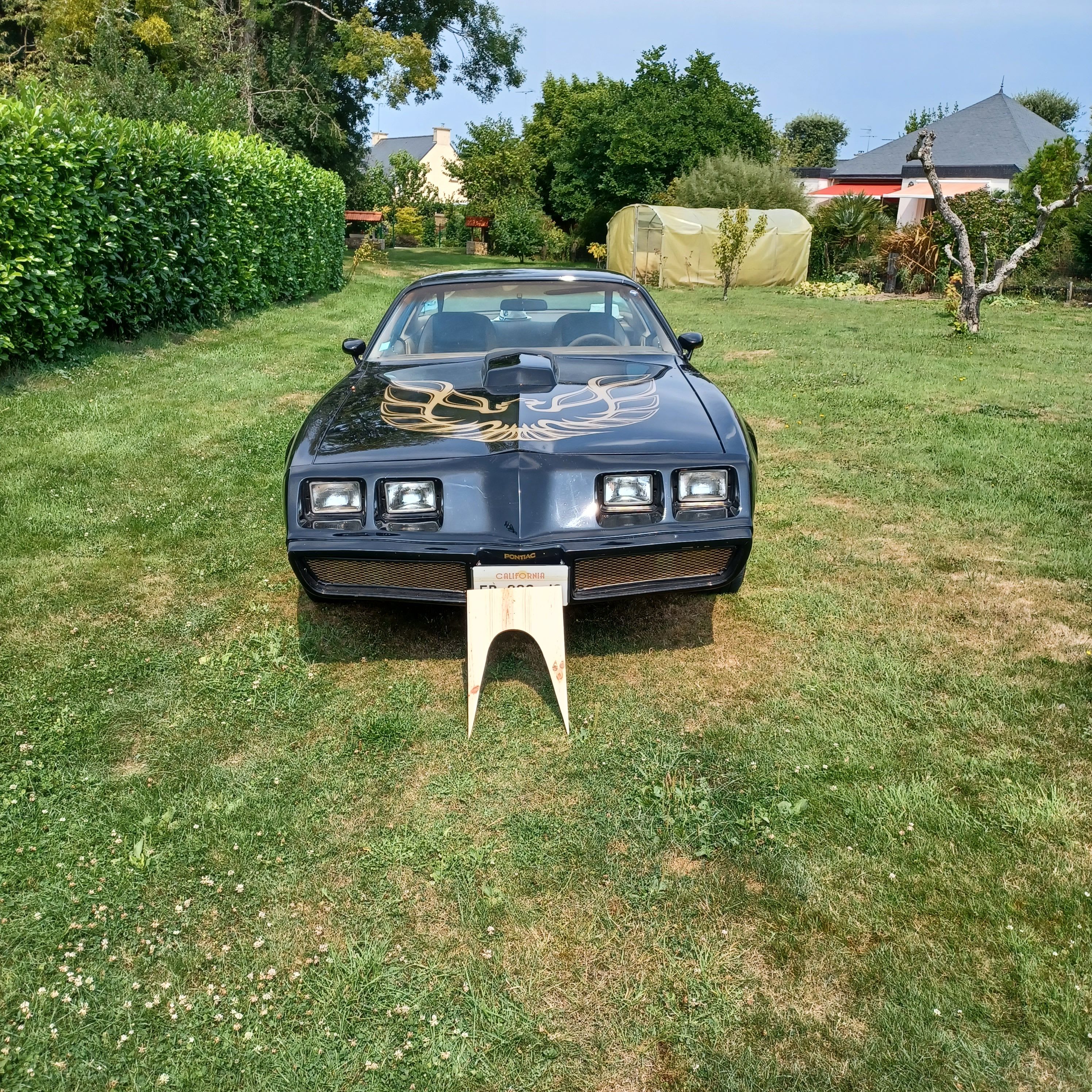 Pontiac Firebird  