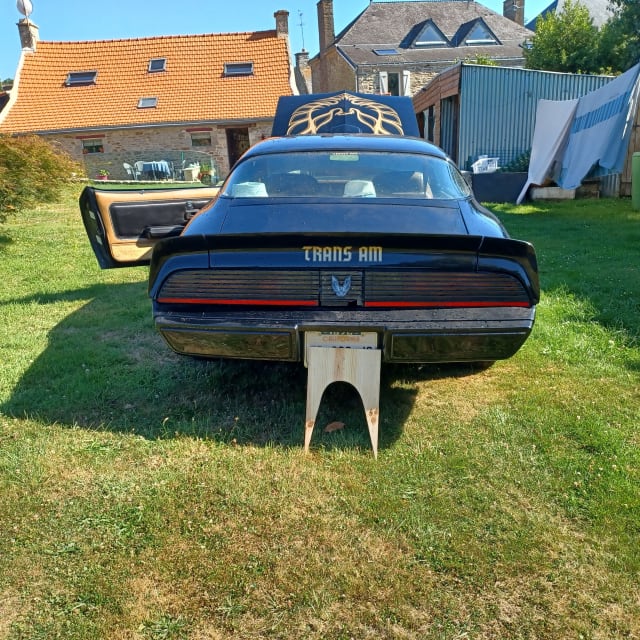 PONTIAC Firebird   1979 occasion