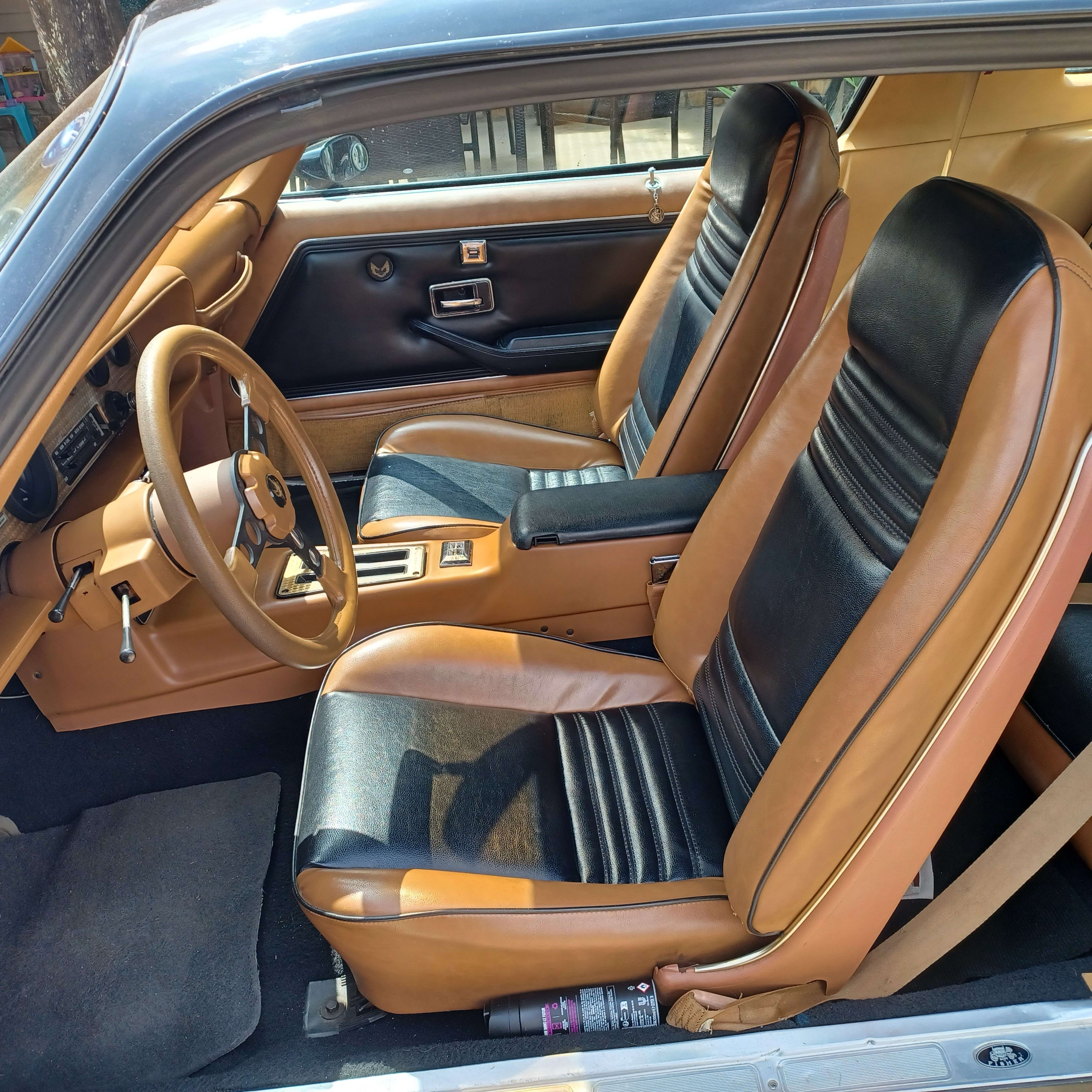 PONTIAC Firebird   1979 occasion intérieur (1)