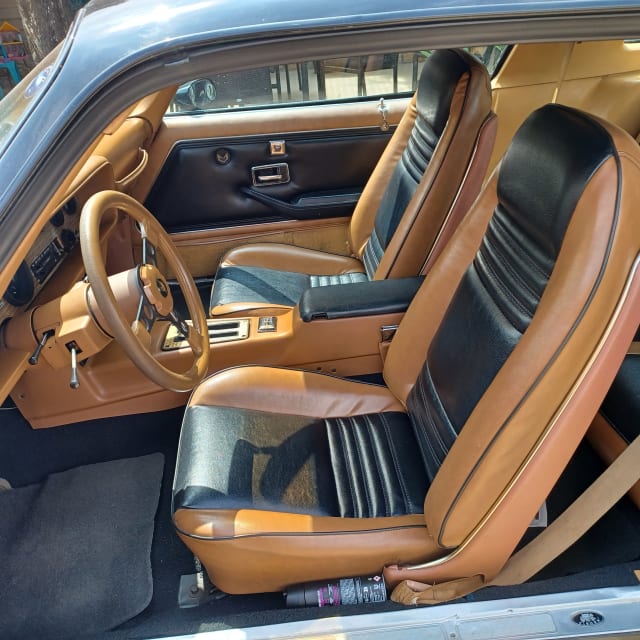 PONTIAC Firebird 1st Generation 1979 occasion