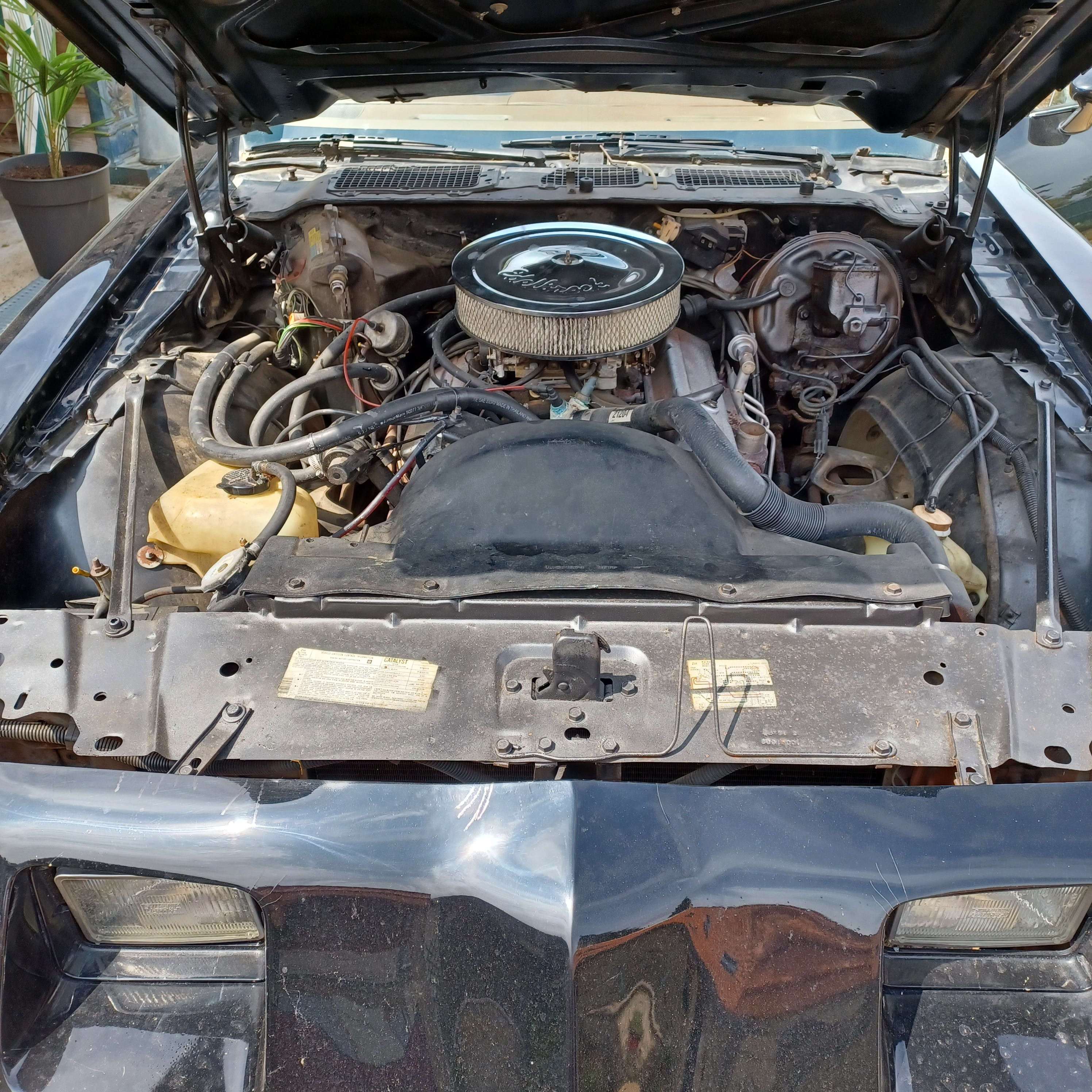 PONTIAC Firebird   1979 occasion mécanique (1)