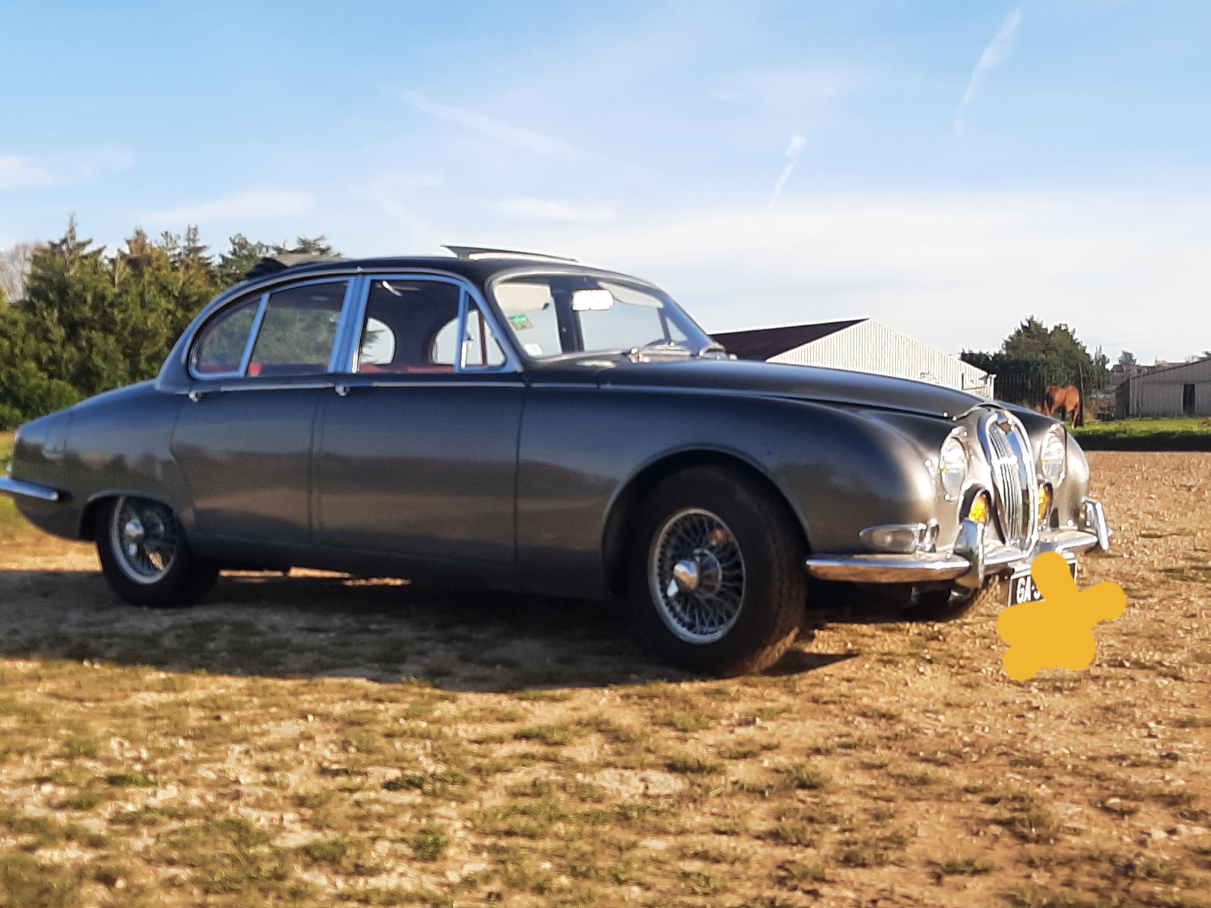 Jaguar Type S