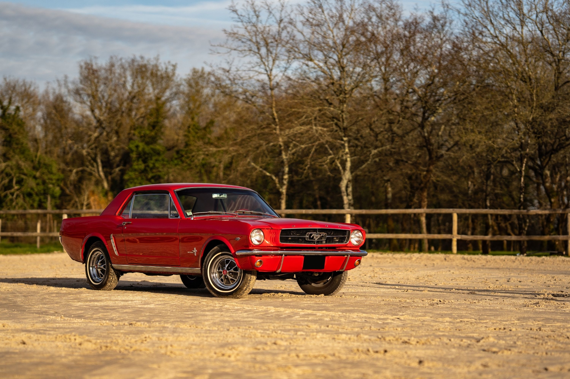 Photo FORD Mustang 1965