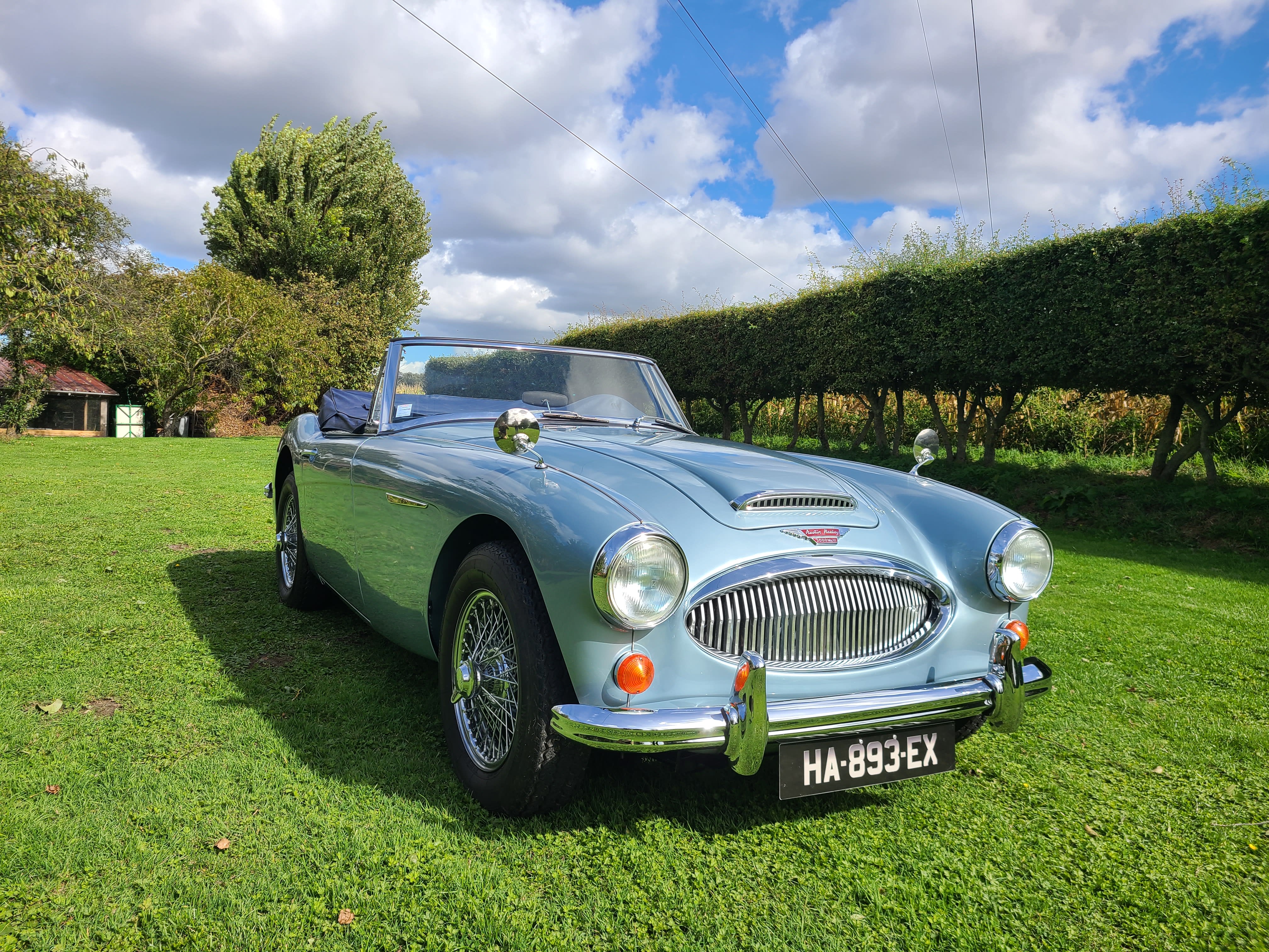 Austin-healey 3000 Mark Iii Bj8