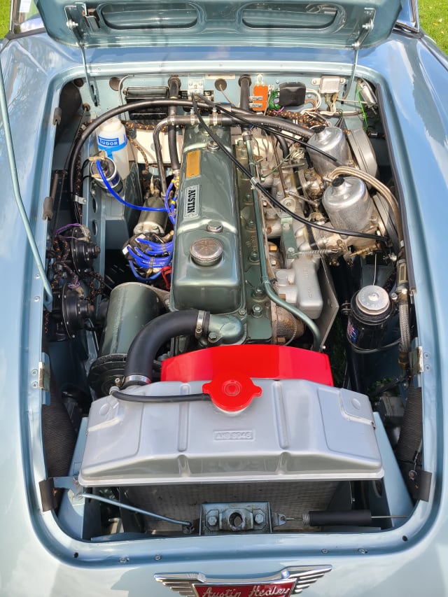 AUSTIN HEALEY 3000 Mark Iii Bj8 1964 occasion