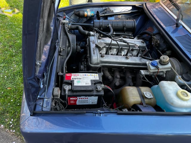 ALFA ROMEO Alfetta   1977 used car