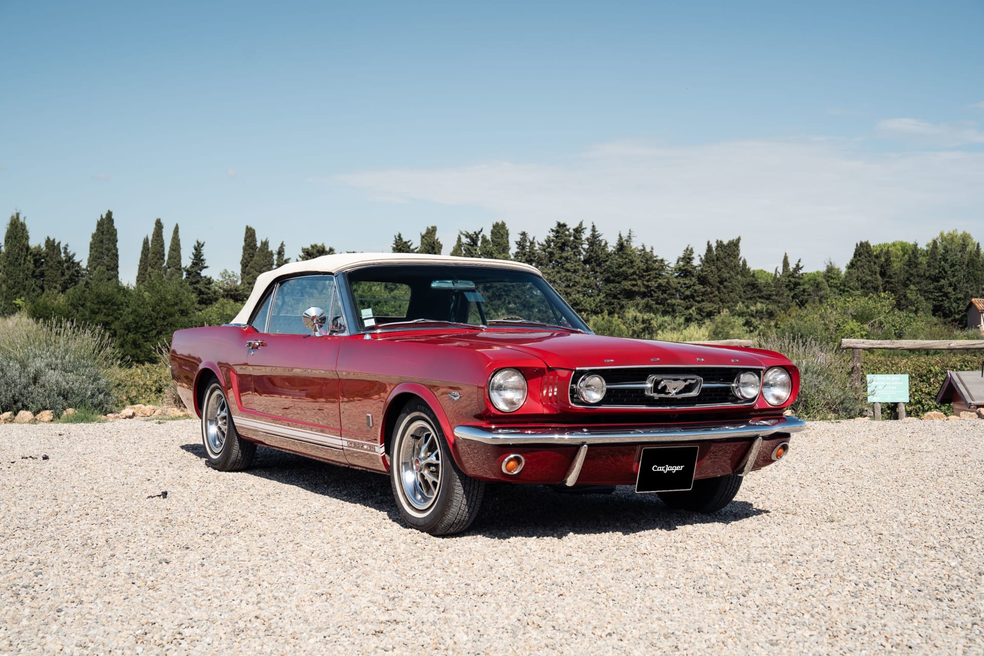 Ford Mustang  V8 289ci Code A 1966