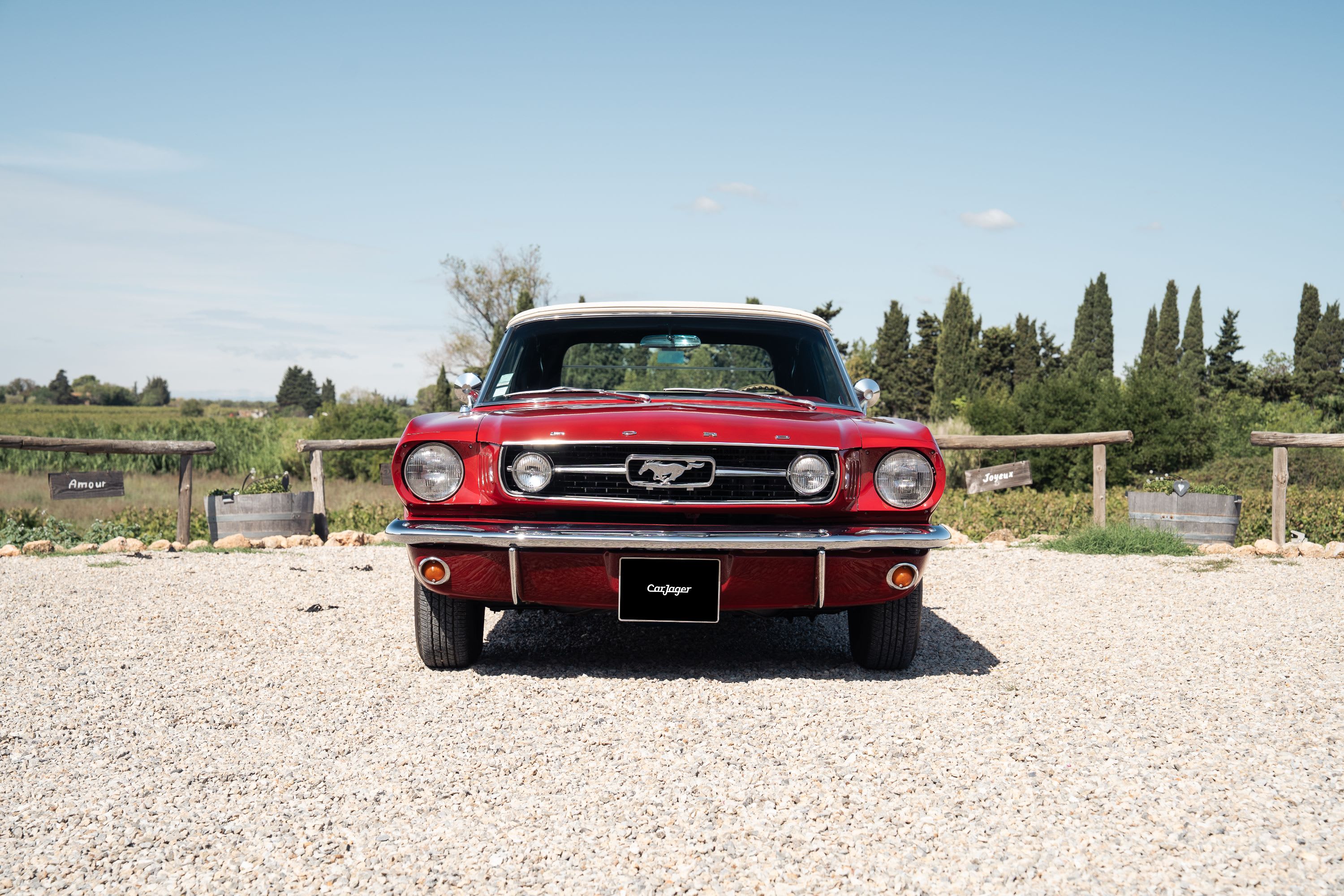 Ford Mustang  V8 289ci Code A 1966