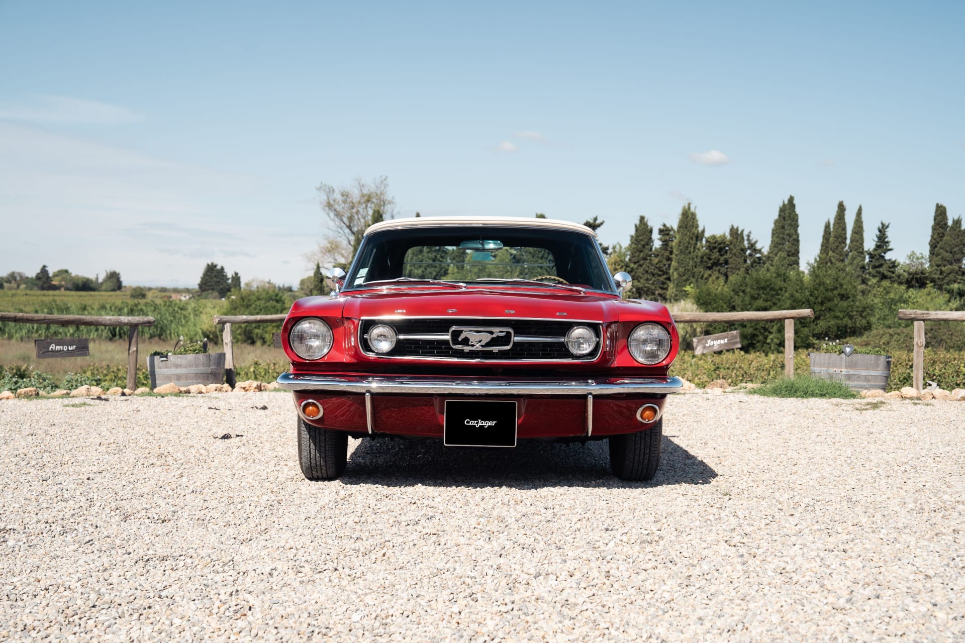 Ford Mustang  V8 289ci Code A 1966