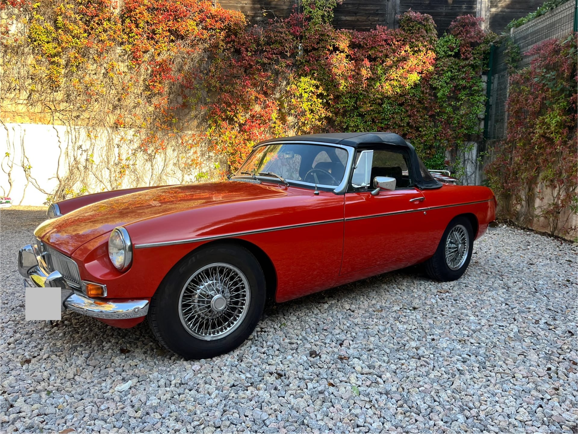 Mg B