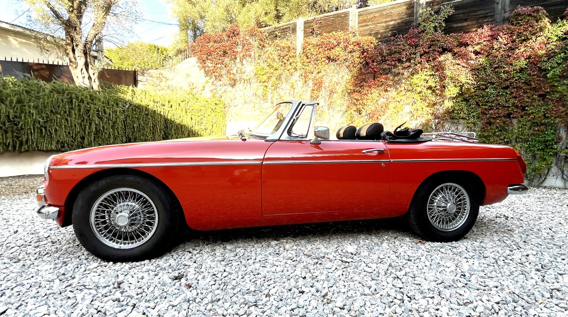 Mg B