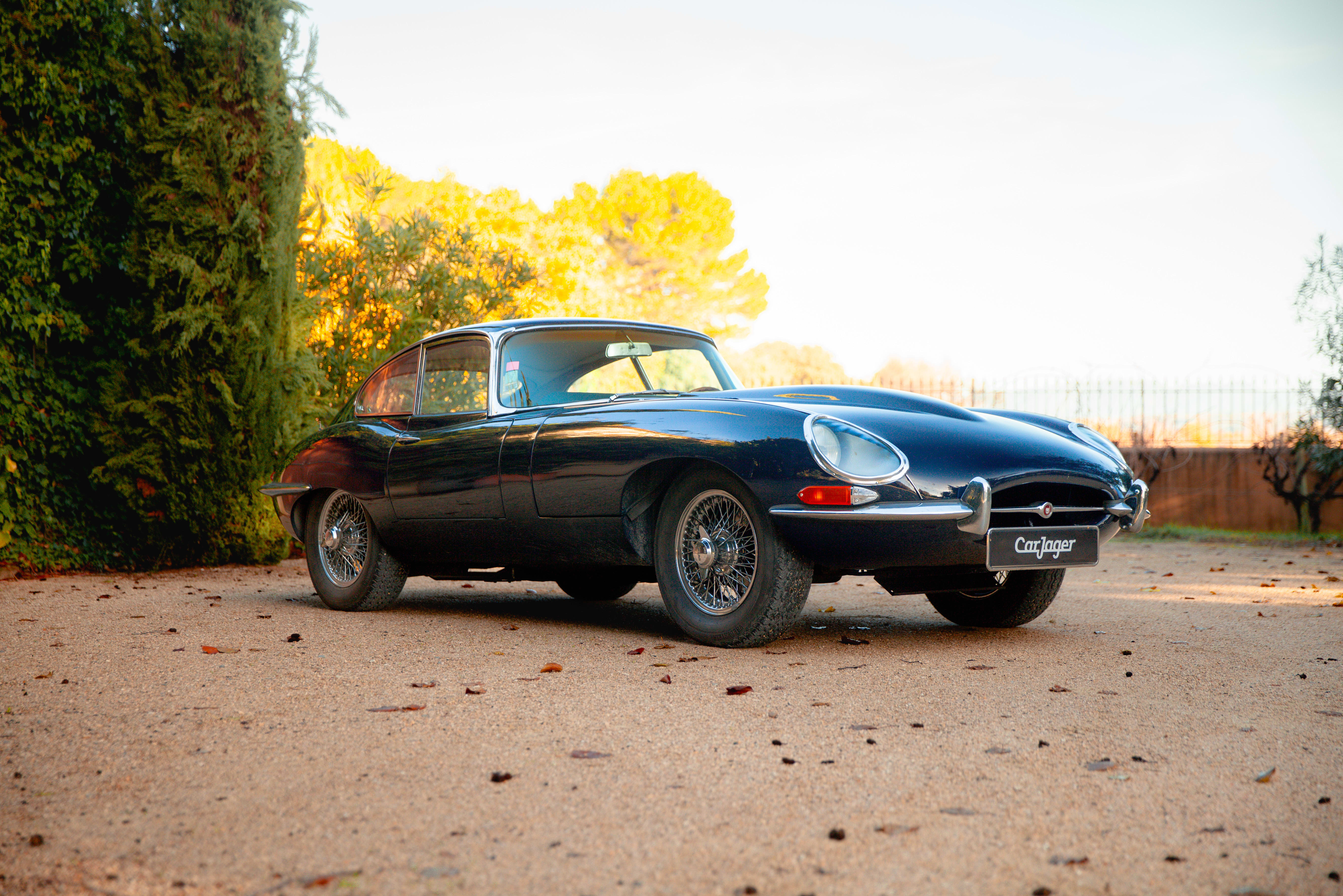 Jaguar Type E 3.8