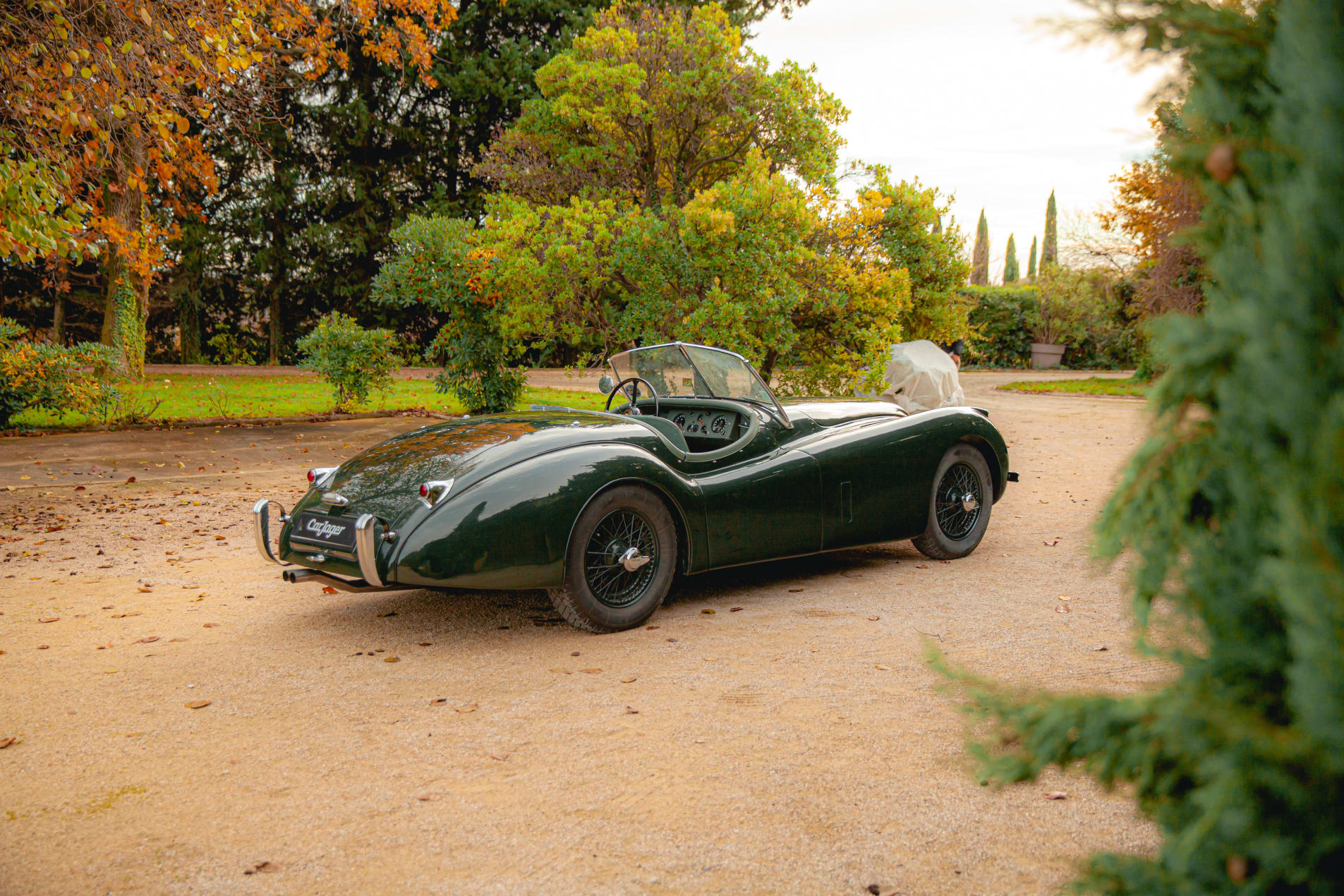 JAGUAR Xk 120 OTS 1954