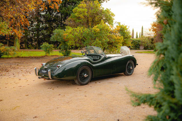 JAGUAR Xk120 Ots 1954 occasion
