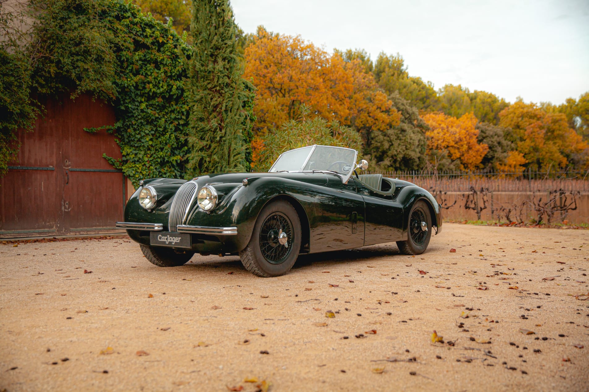 JAGUAR Xk 120 OTS 1954