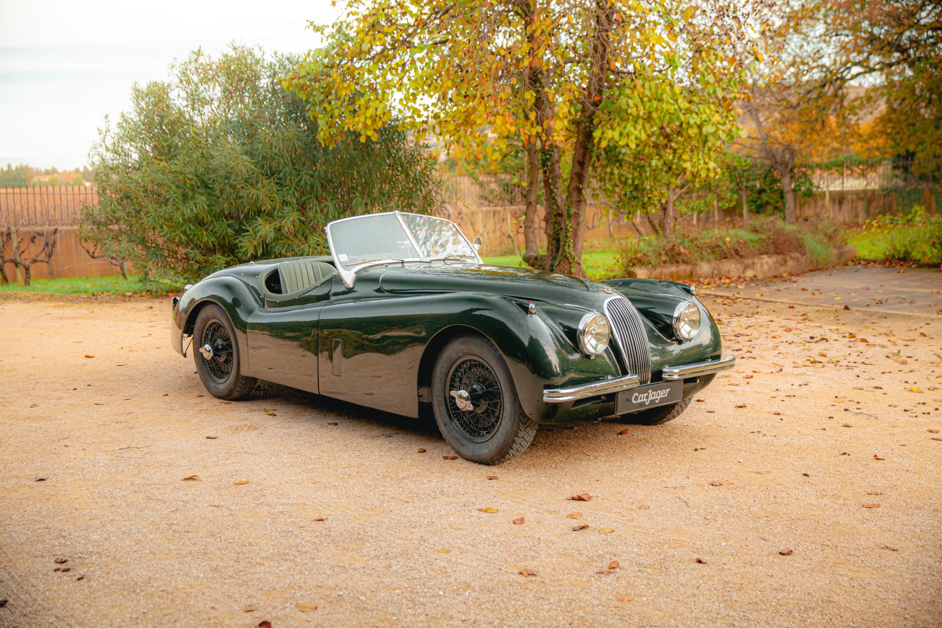 JAGUAR Xk 120 OTS 1954