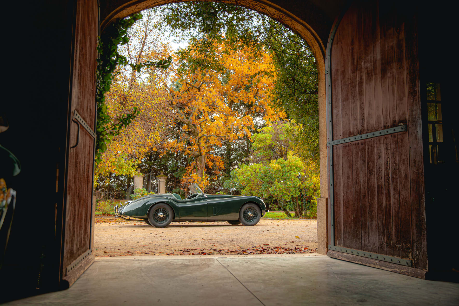 JAGUAR Xk 120 OTS 1954