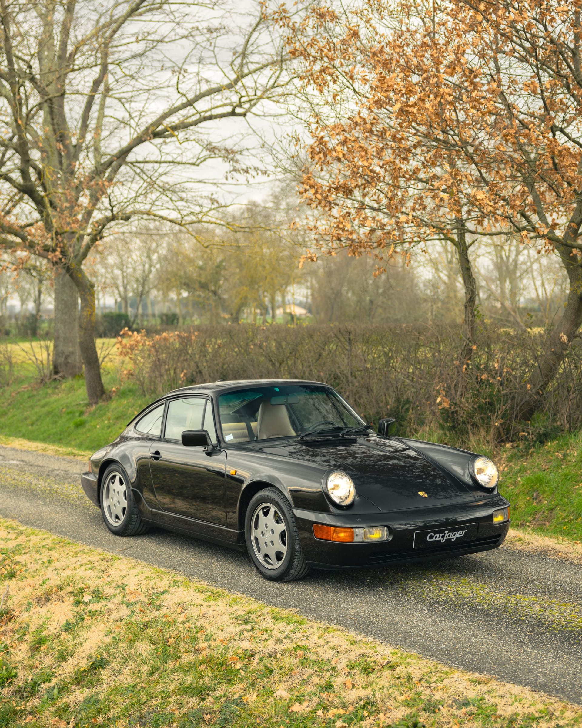 PORSCHE 911 964 Carrera 4 1991 used details (1)