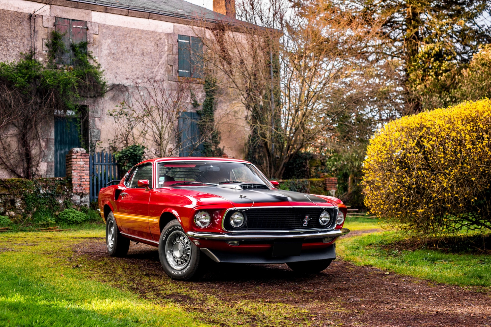 Photo FORD Mustang Mach 1 Sportsroof 1969