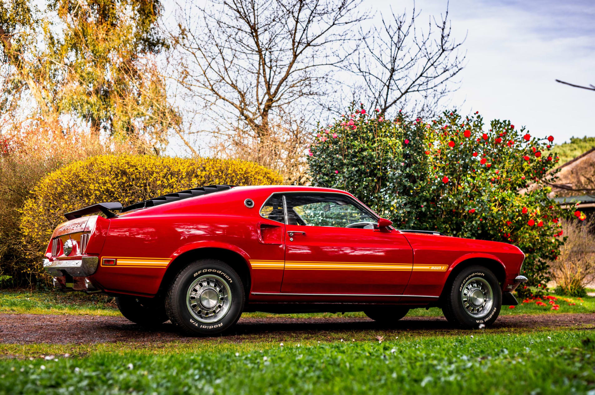 FORD Mustang Mach 1 Sportsroof 1969