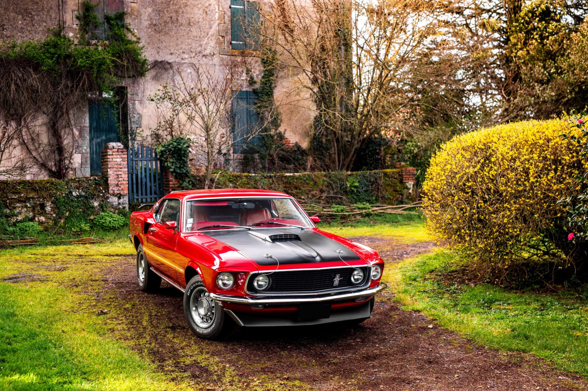 ford mustang Mach 1 Sportsroof