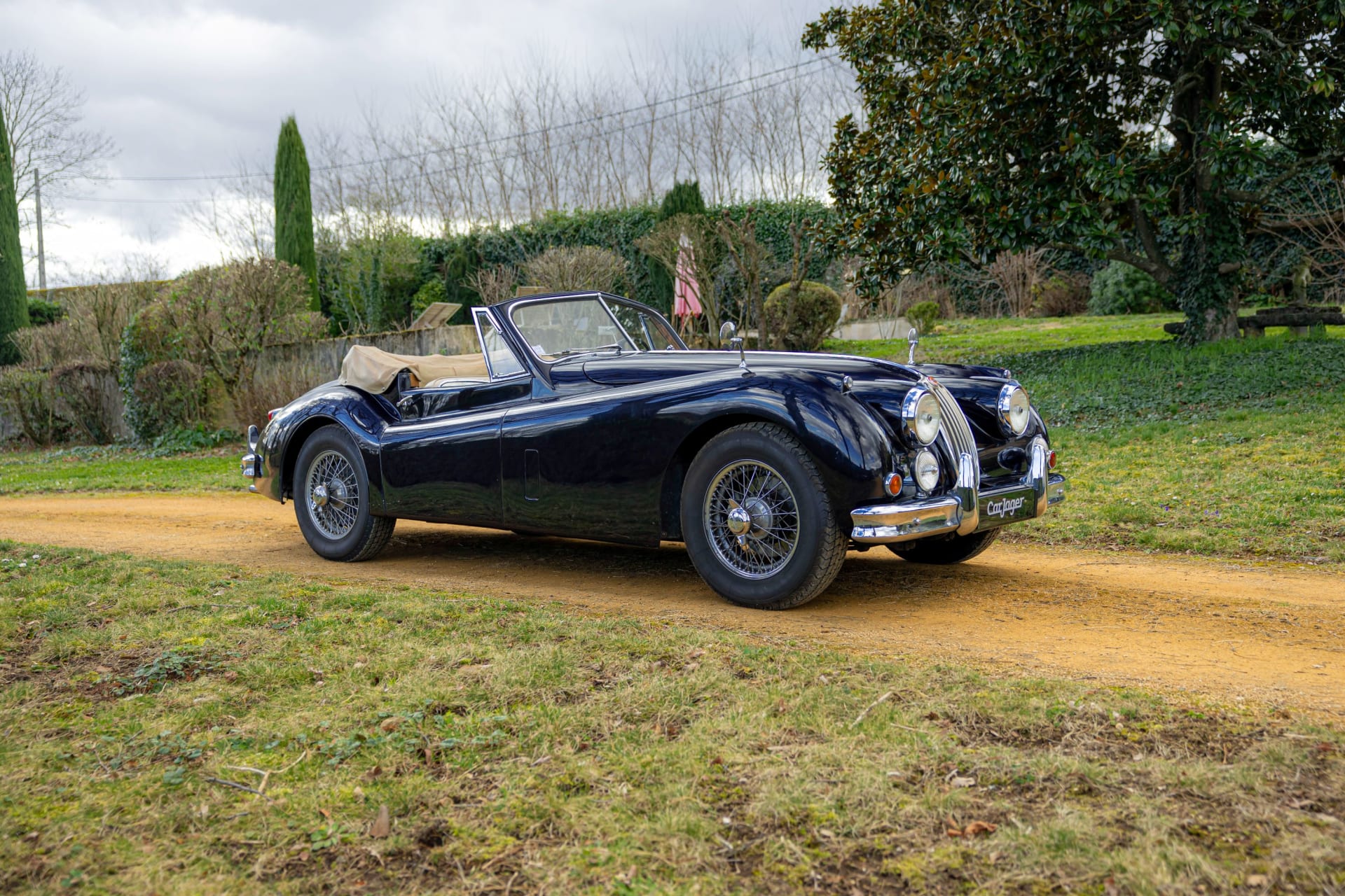 Jaguar Xk140 Dhc