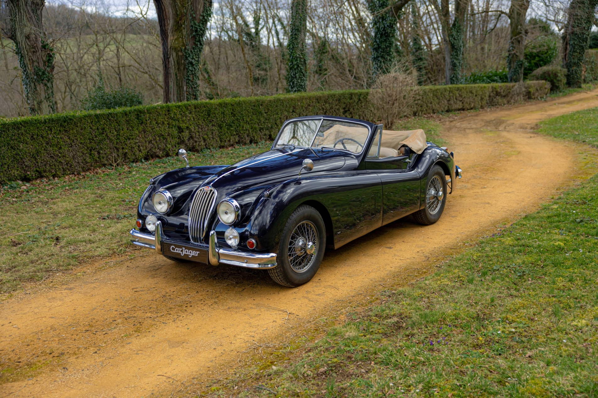 Photo JAGUAR Xk140 DHC 1955