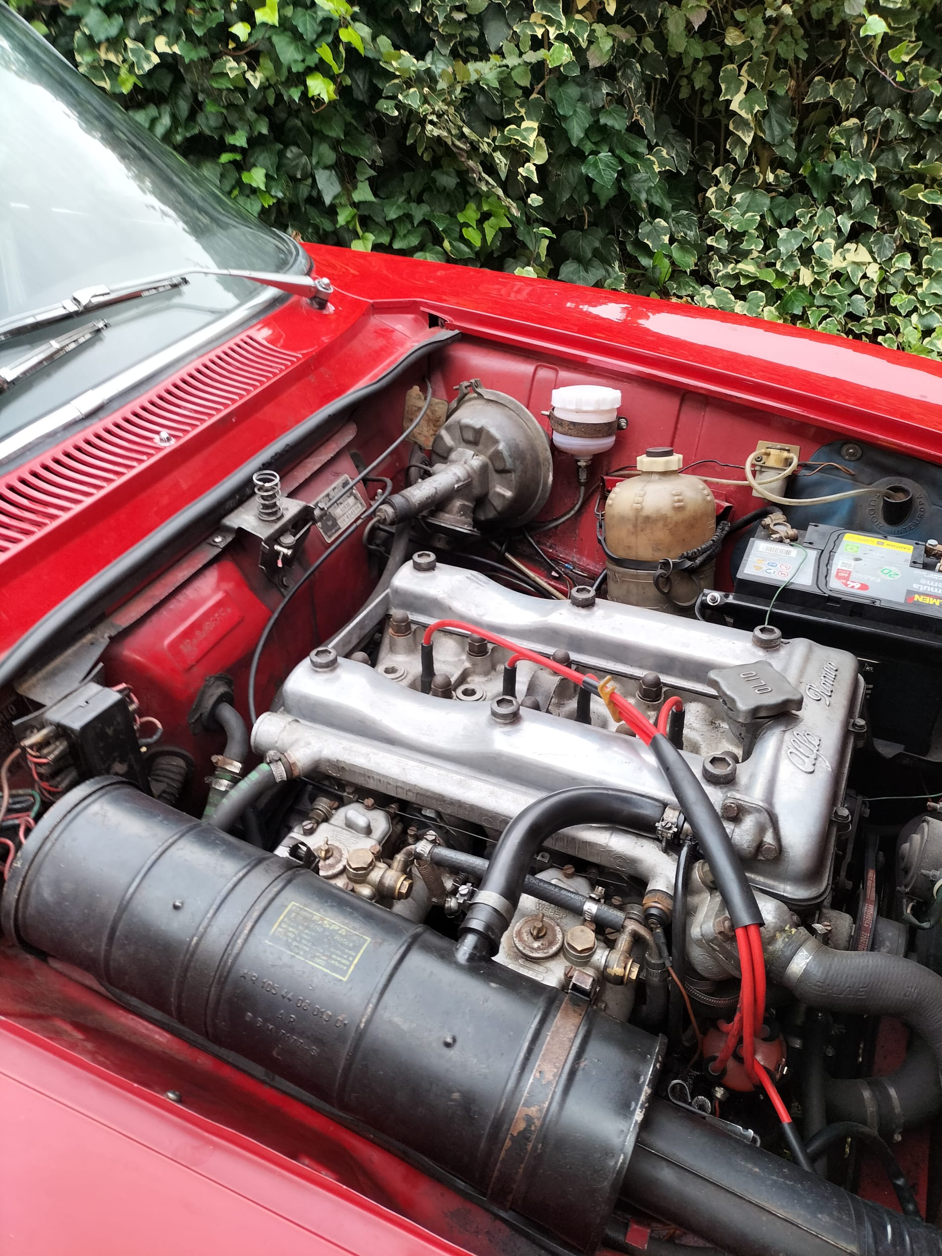 ALFA ROMEO Giulia sprint gt veloce bertone 1967