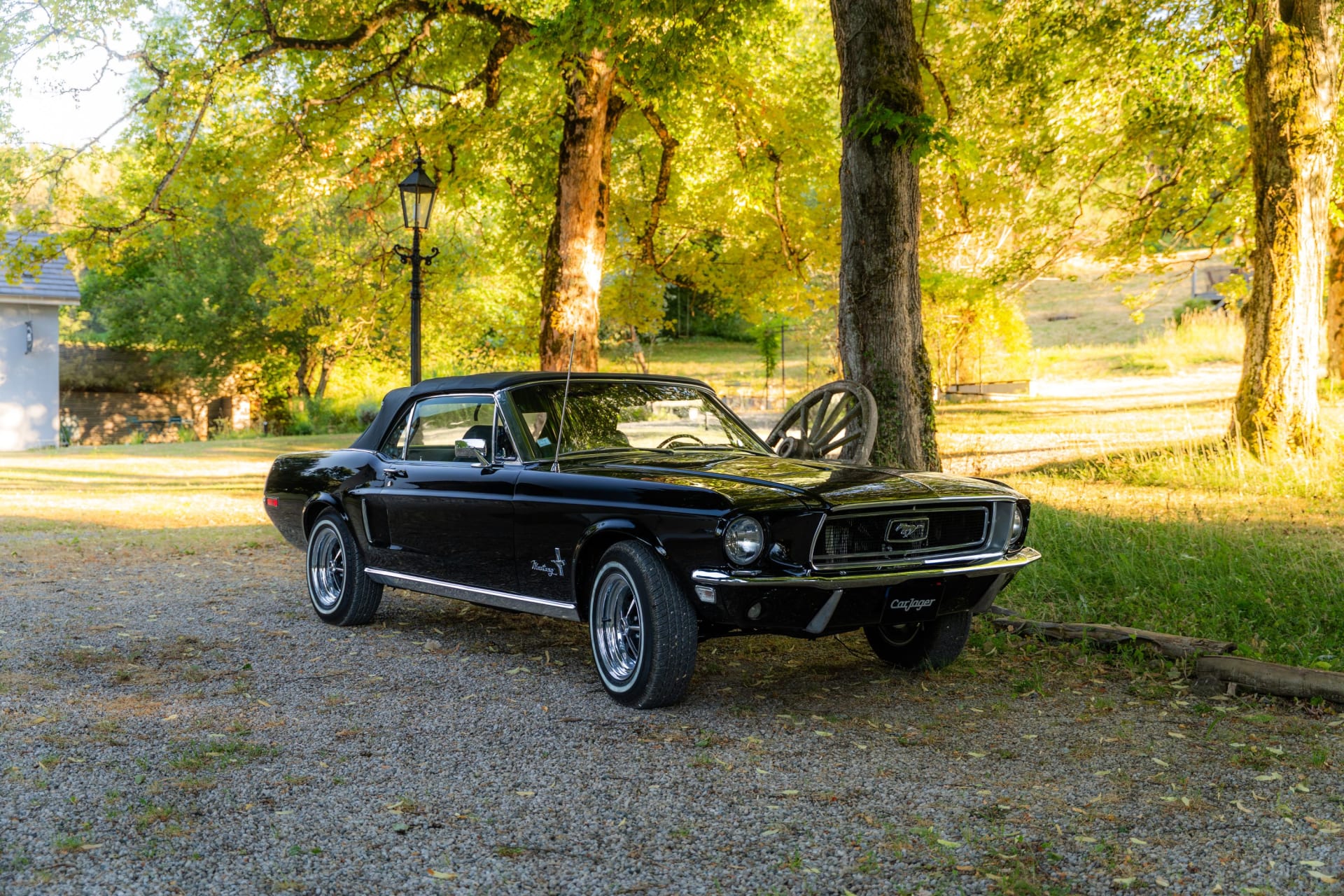 Ford Mustang  I Cabriolet V8 302 Ci