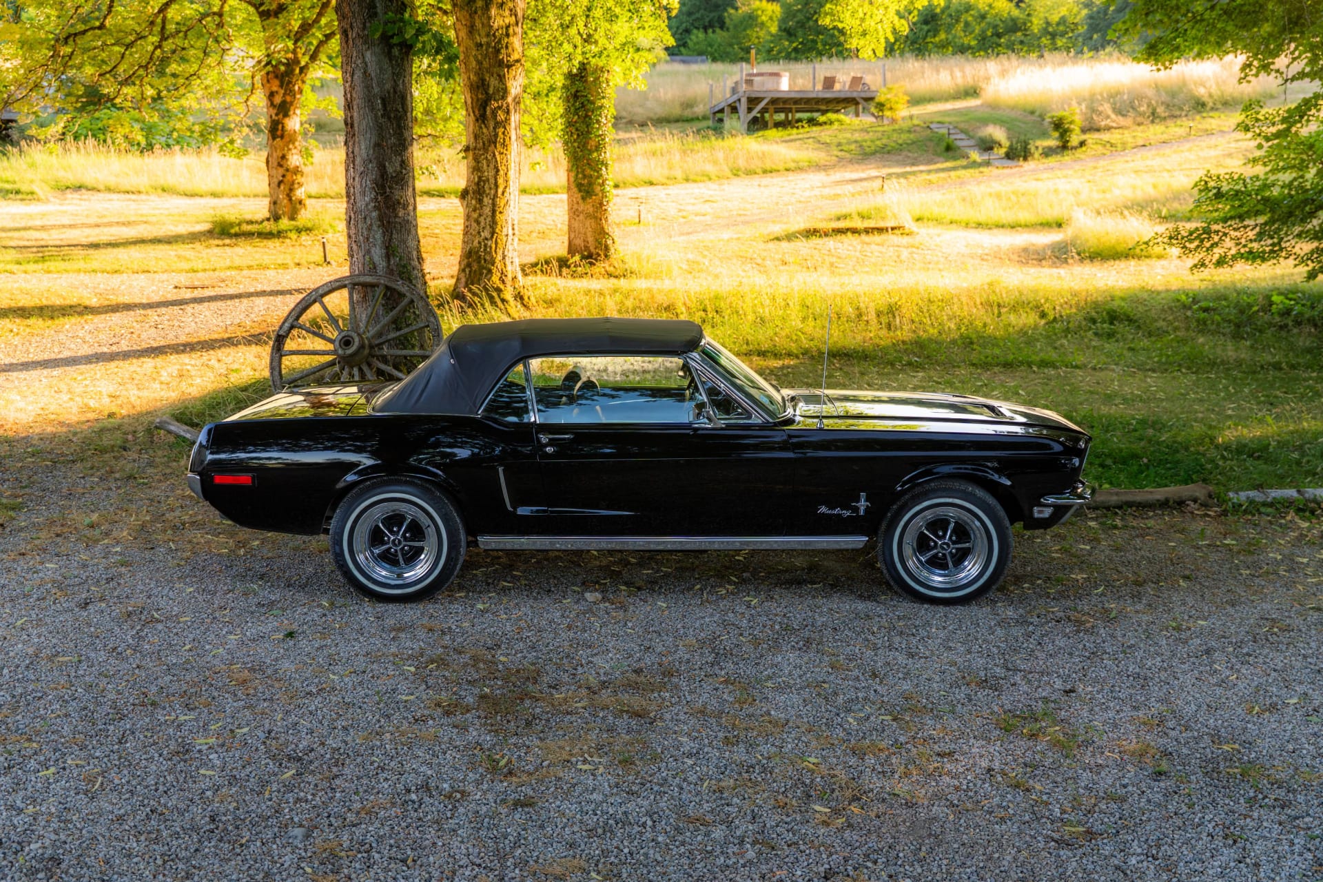 Ford Mustang  I Cabriolet V8 302 Ci