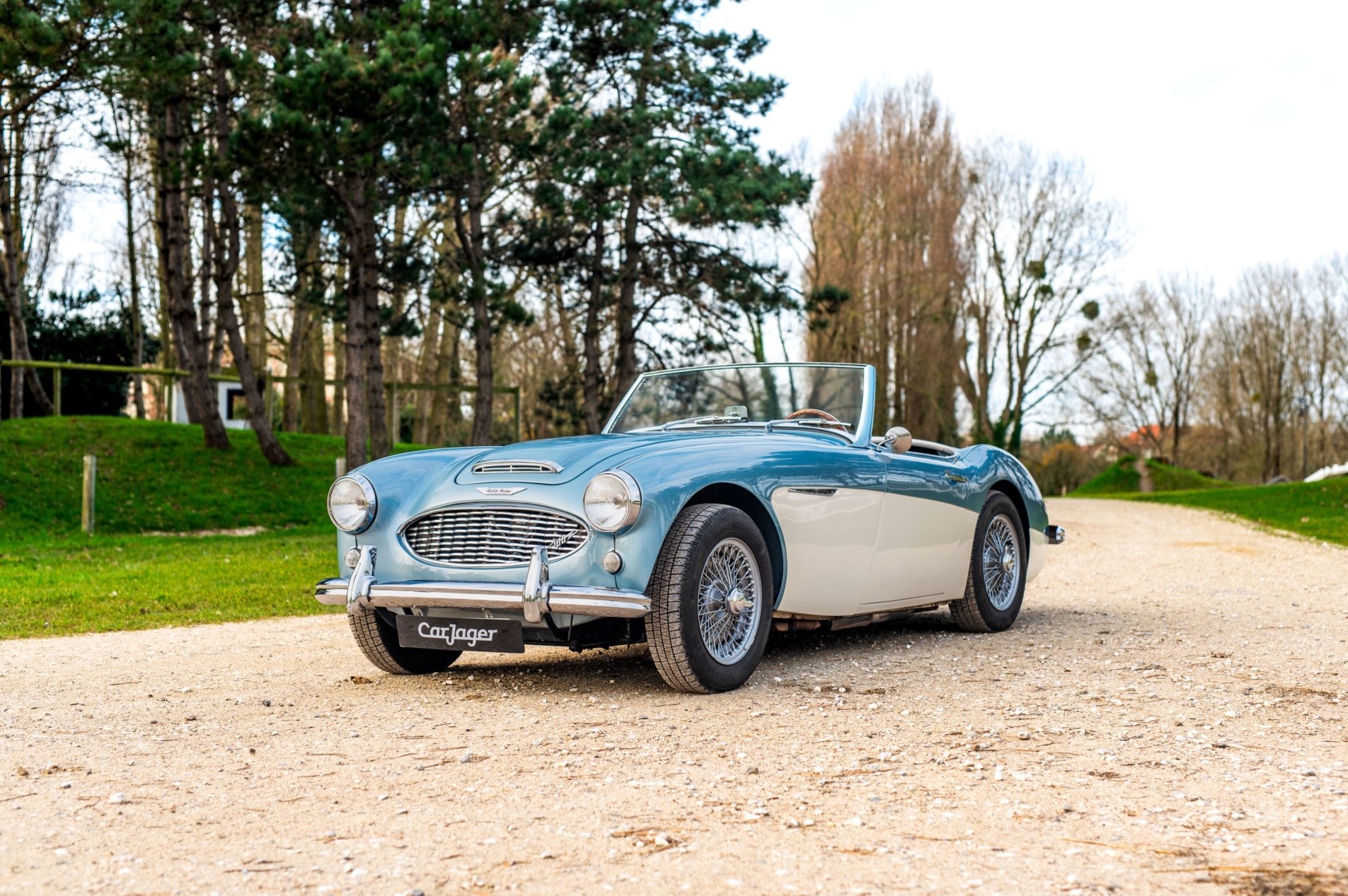 Photo AUSTIN-HEALEY 100 six BN6 1959