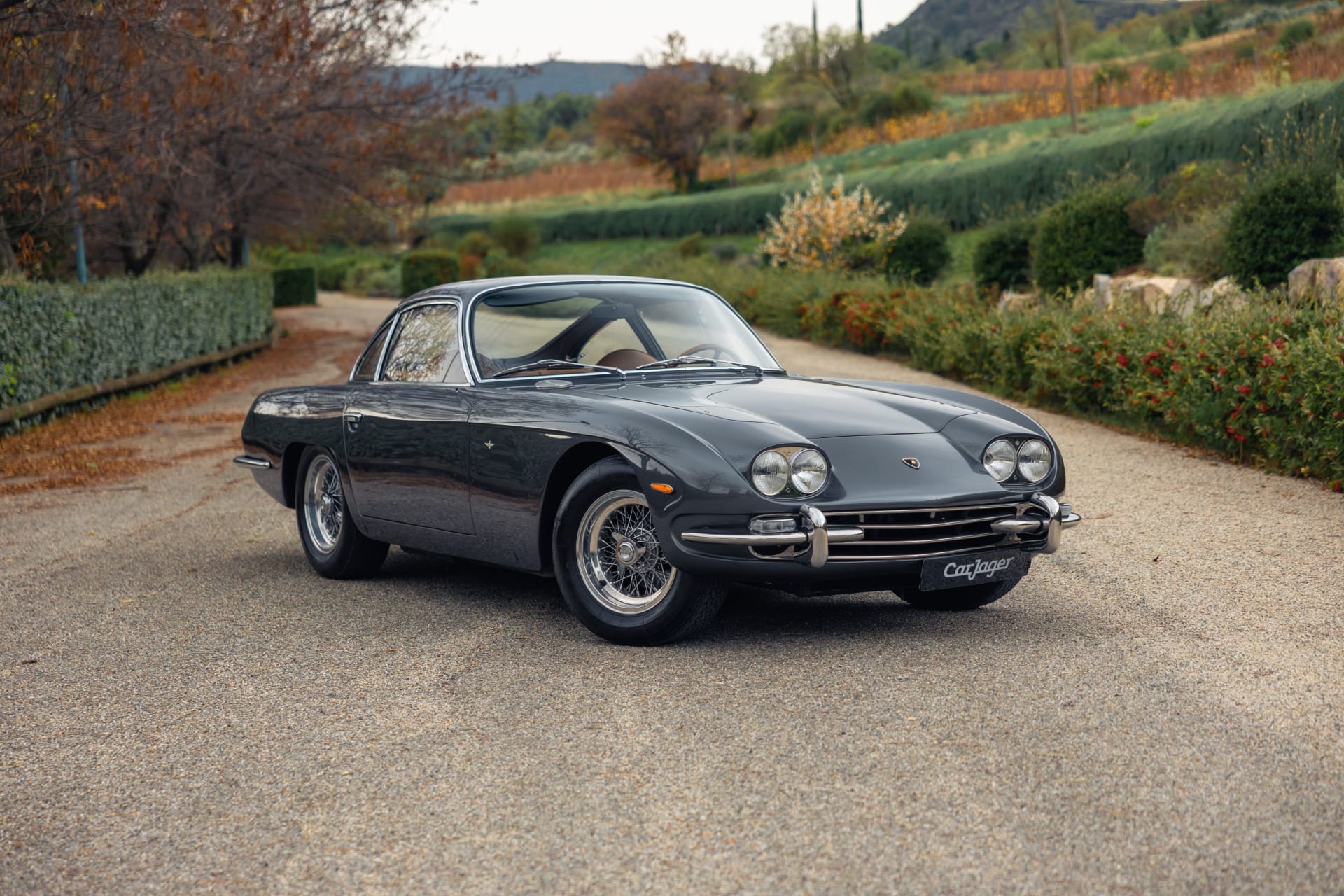 Lamborghini 350 Gt Interim