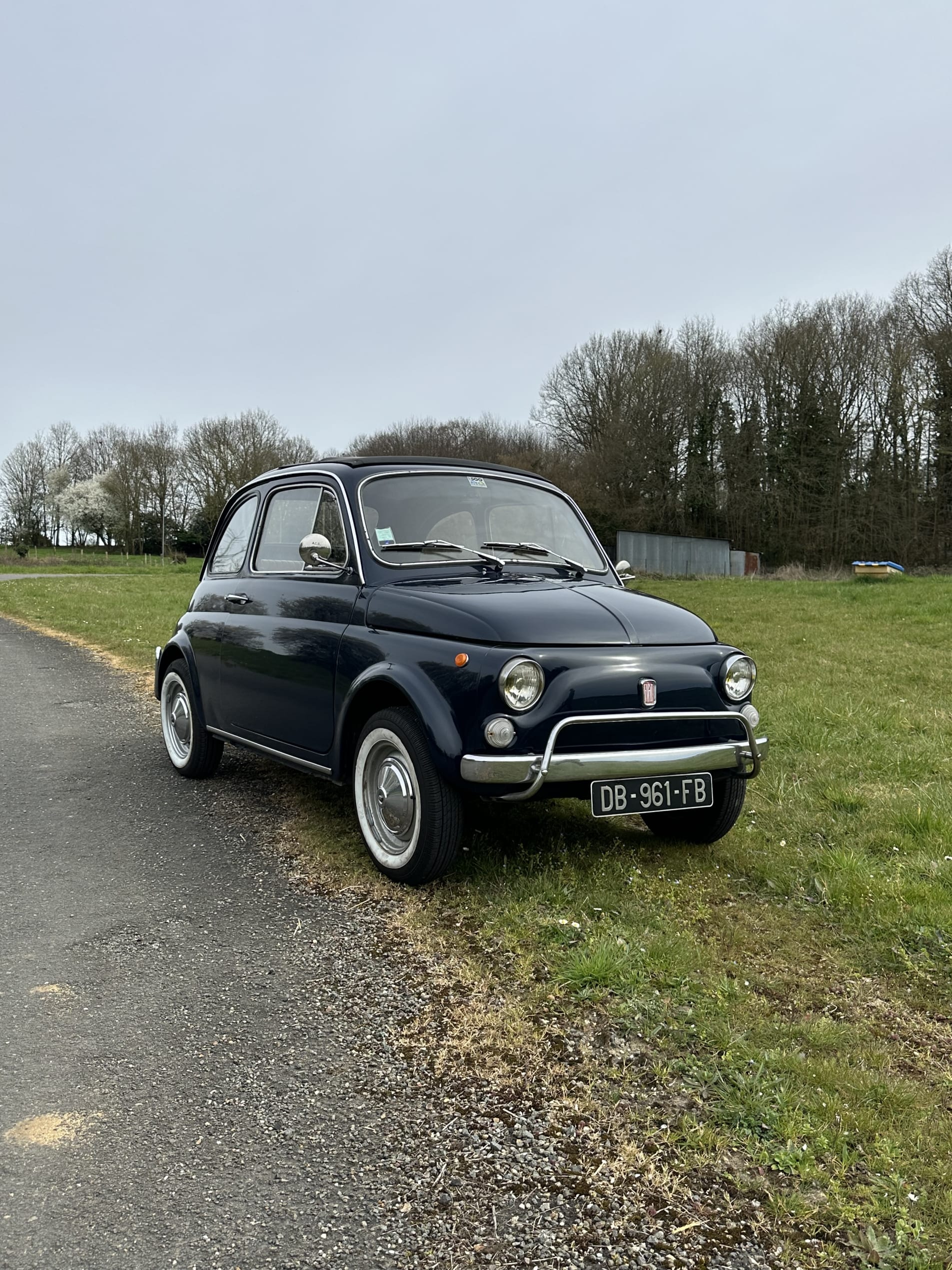 FIAT 500 Luxe 1970