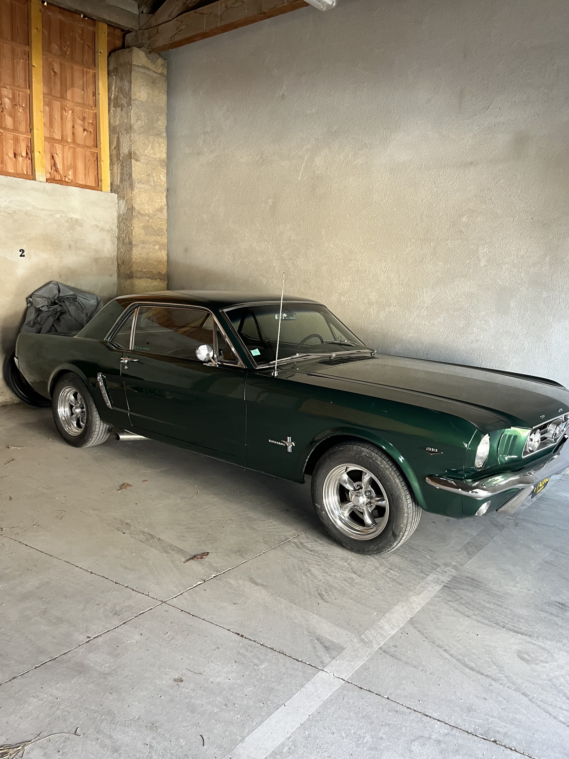Photo FORD Mustang i 1964-1973 1965