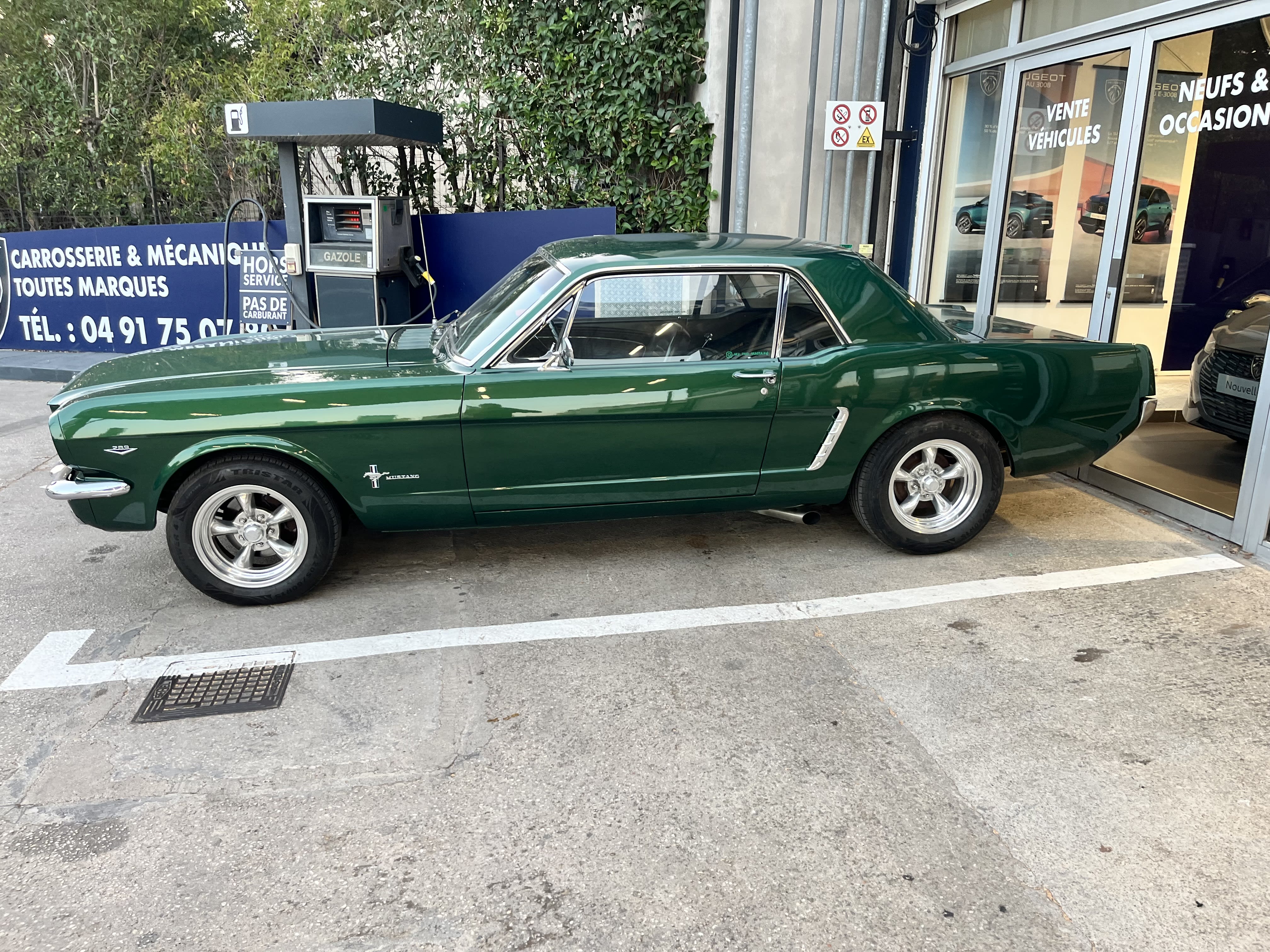 Ford Mustang   