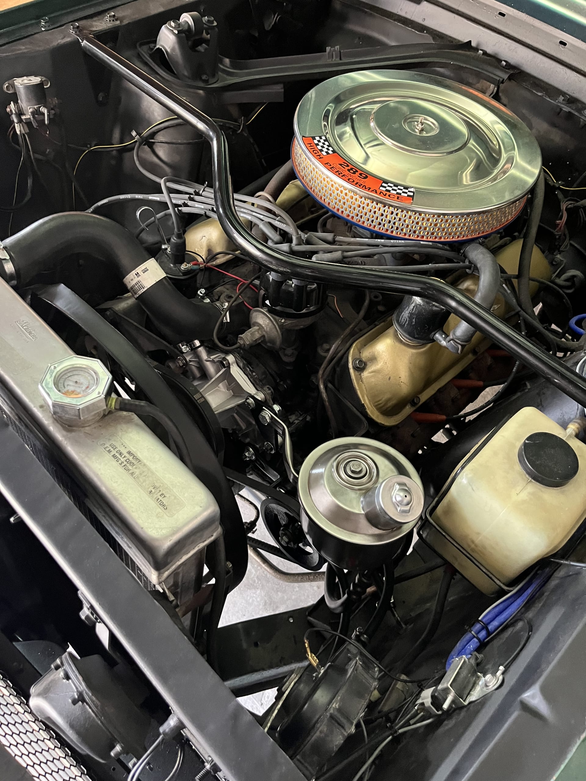 FORD Mustang    1965 occasion mécanique (1)