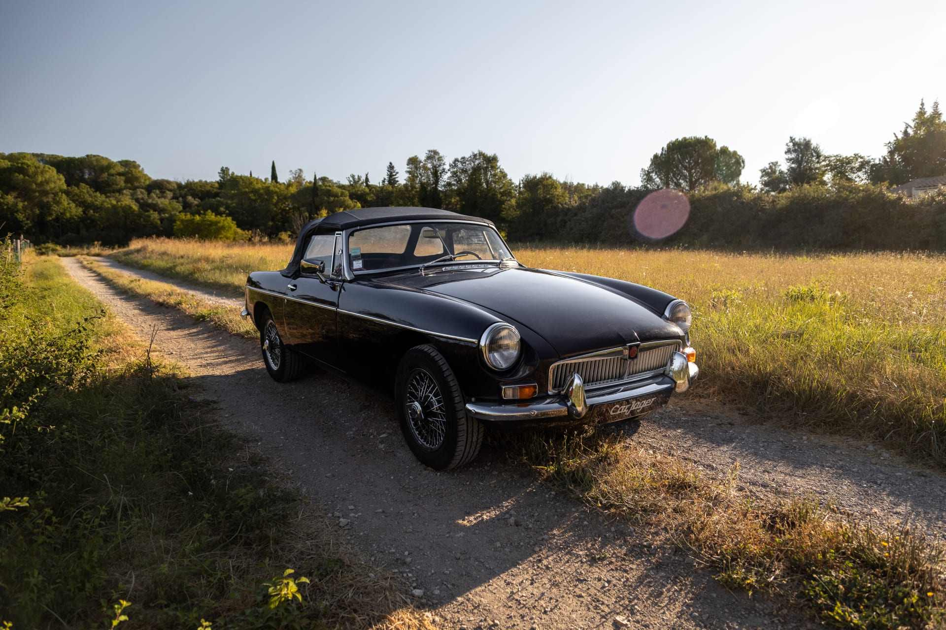 Mg B S1