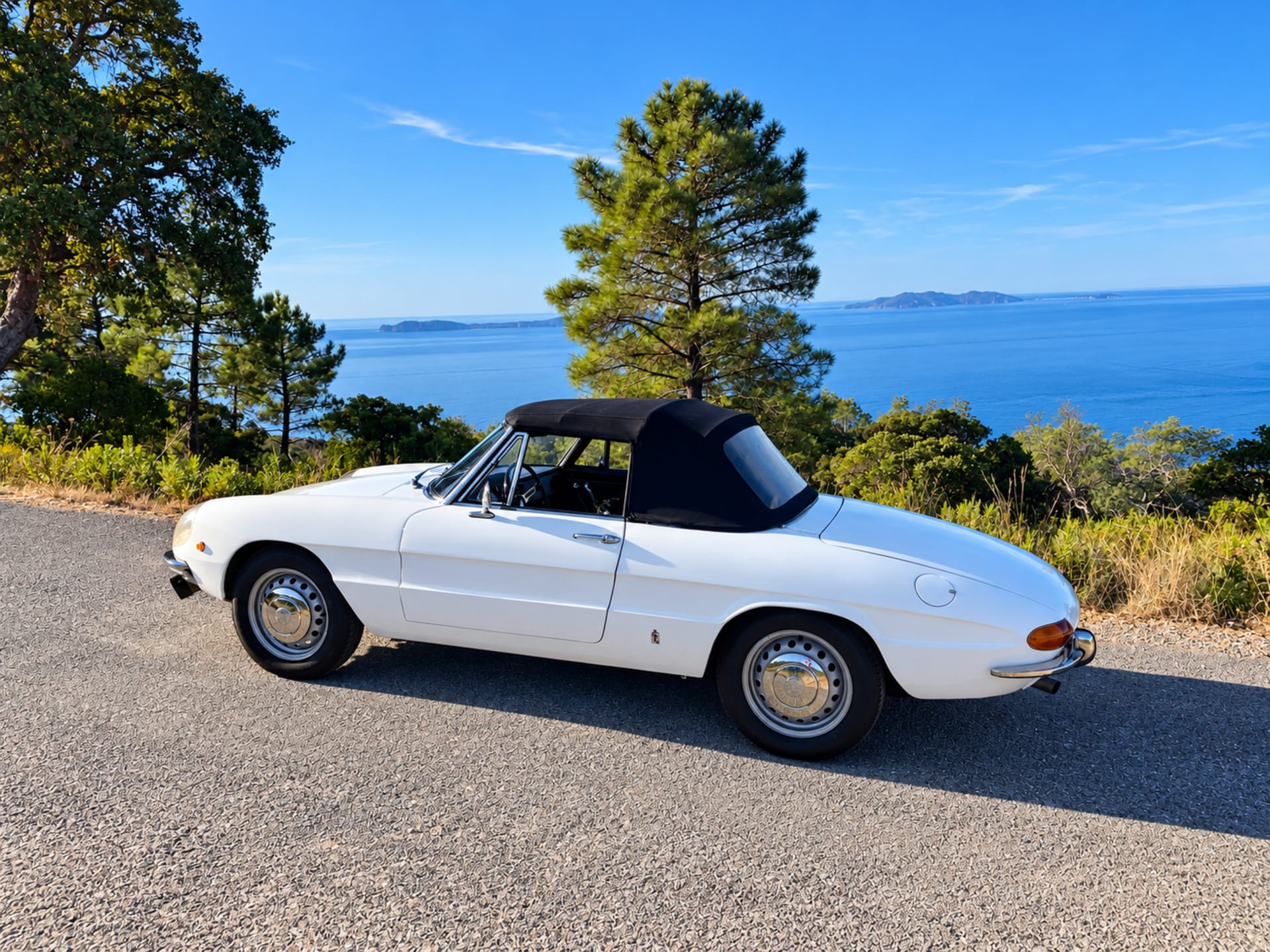 Alfa Romeo Spider Tipo 105 Junior Coda Longa