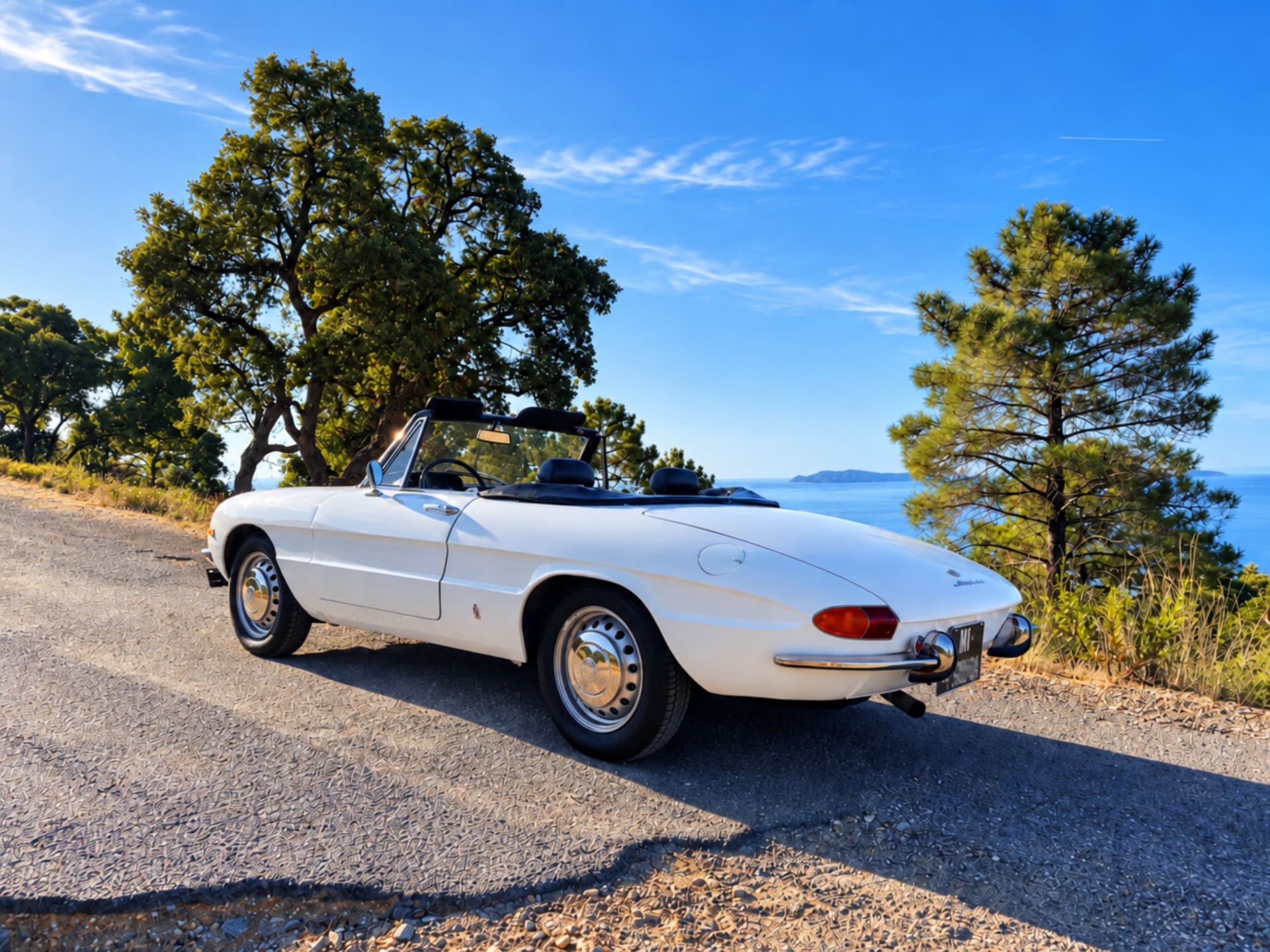 Alfa Romeo Spider Tipo 105 Junior Coda Longa