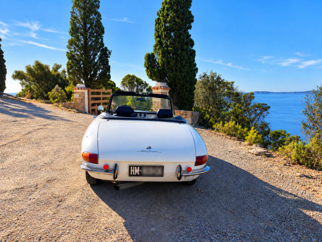 ALFA ROMEO Spider Tipo 105 Junior Coda Longa 1969 usado